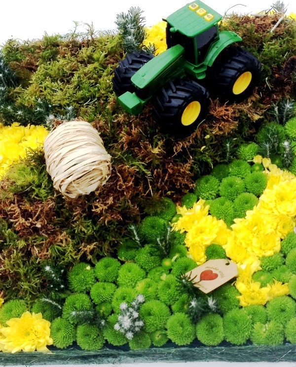 For the man who loved the land.